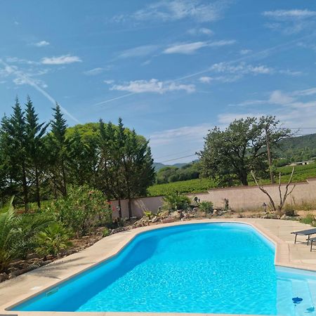 Chambre Face Aux Vignes Vidauban Extérieur photo